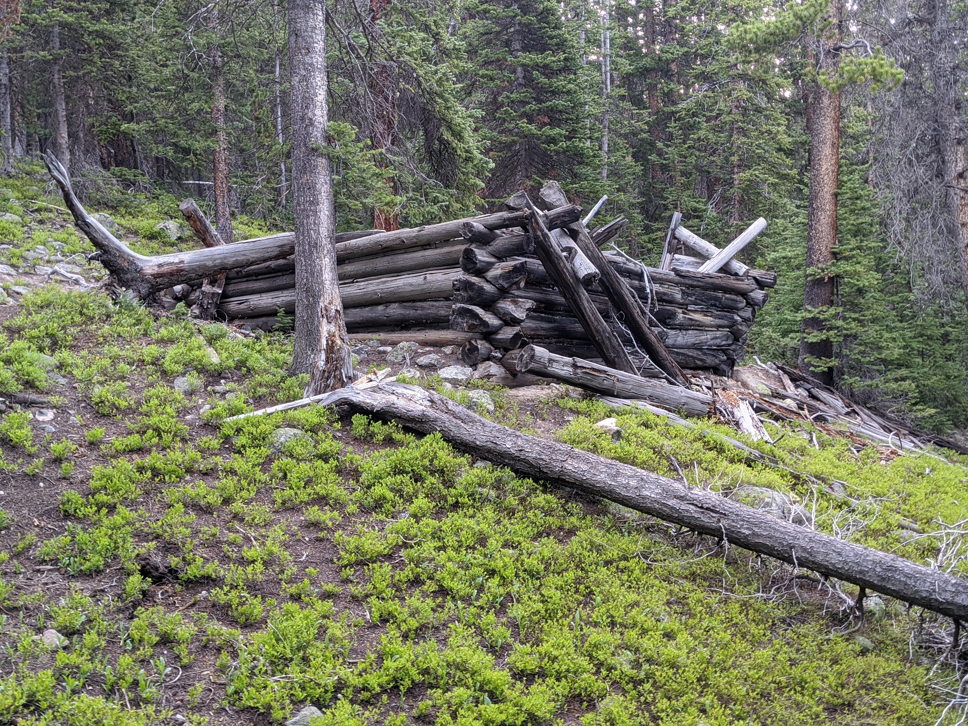 An old cabin in the National Forest outside the border to the Vasquez Peak Wilderness.