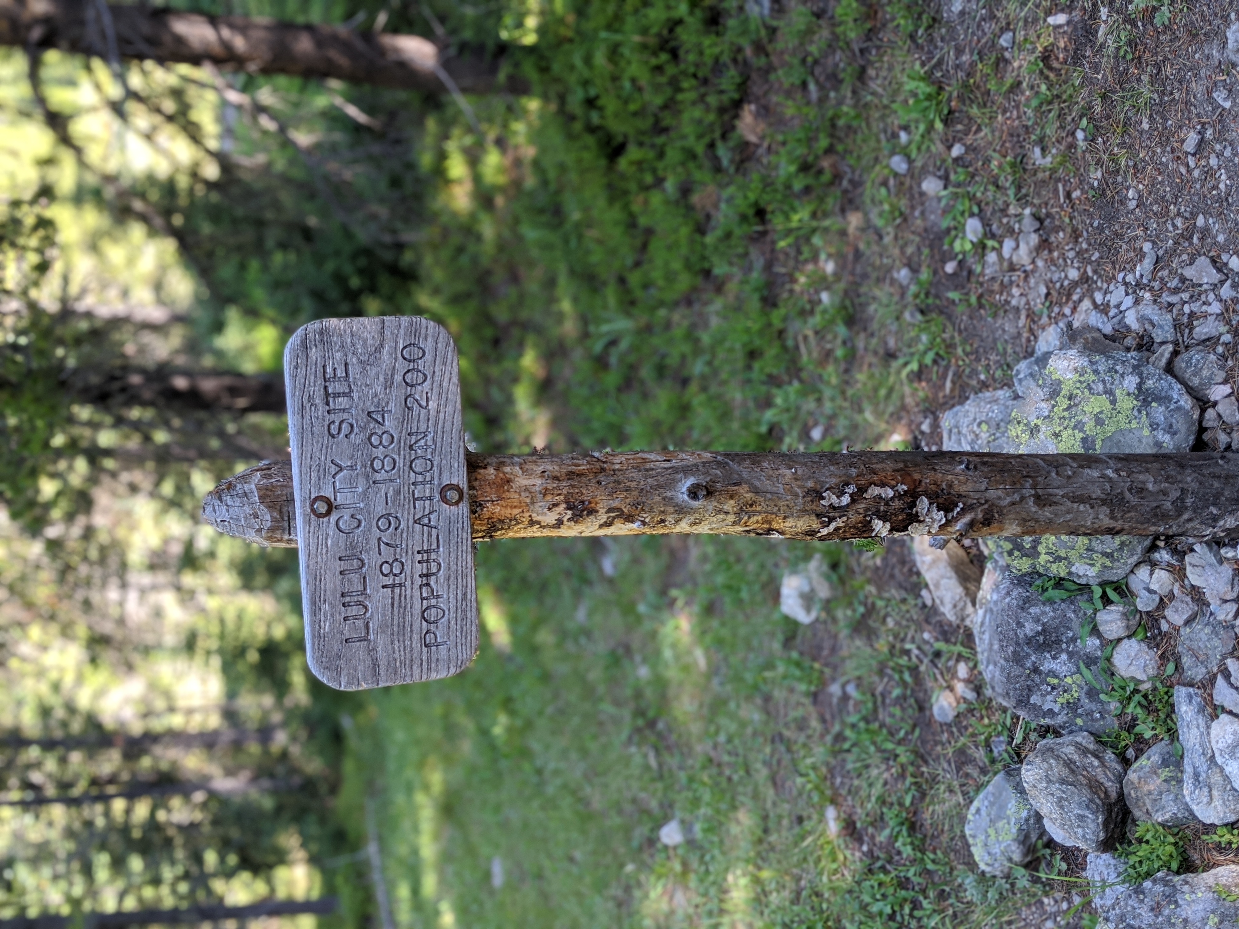 The former site of Lulu City in the Rocky Mountain National Park Wilderness.