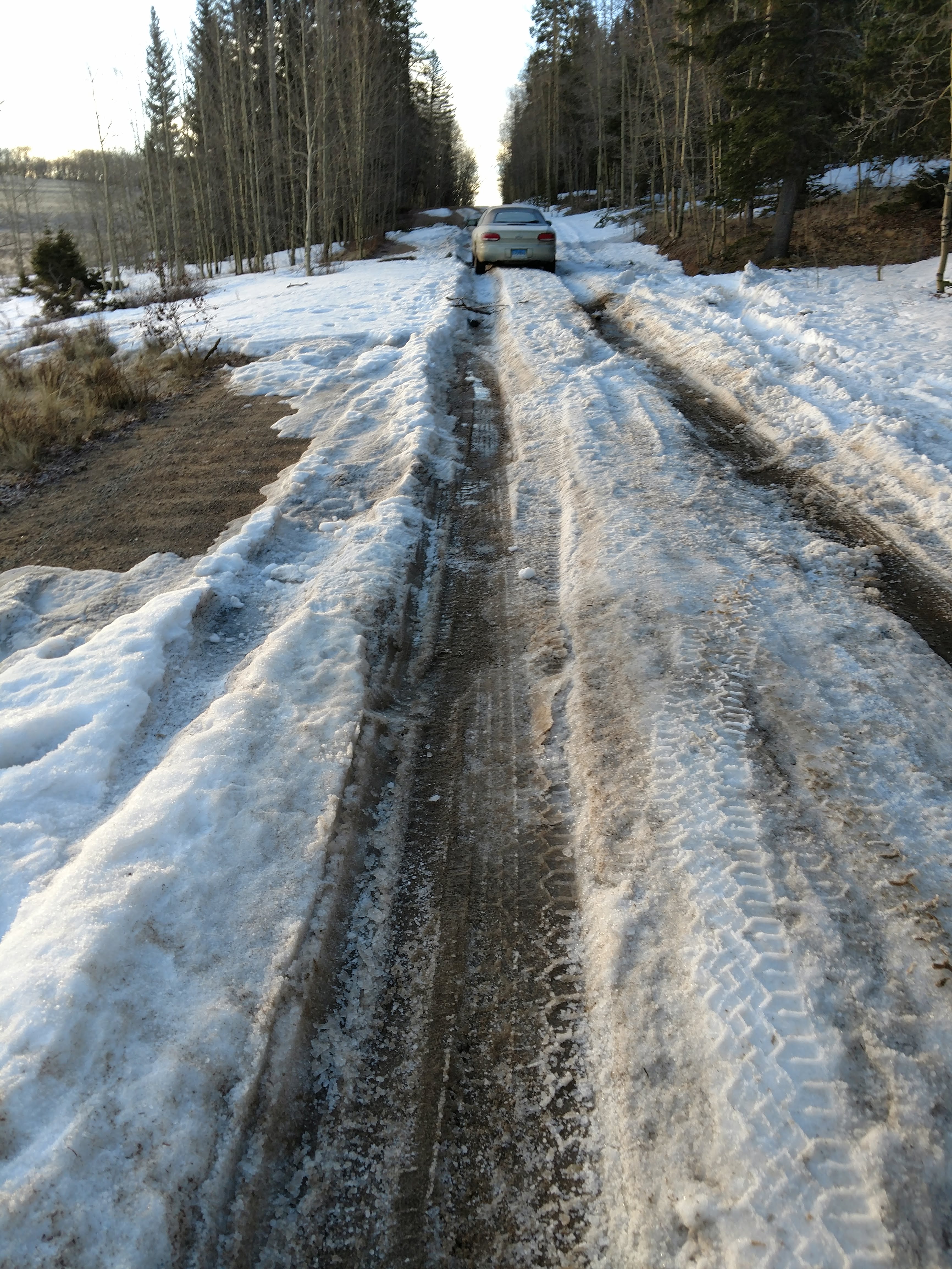 Deep snow, muddy ruts, and stuck cars mean I have to turn around in my wild turkey chase.