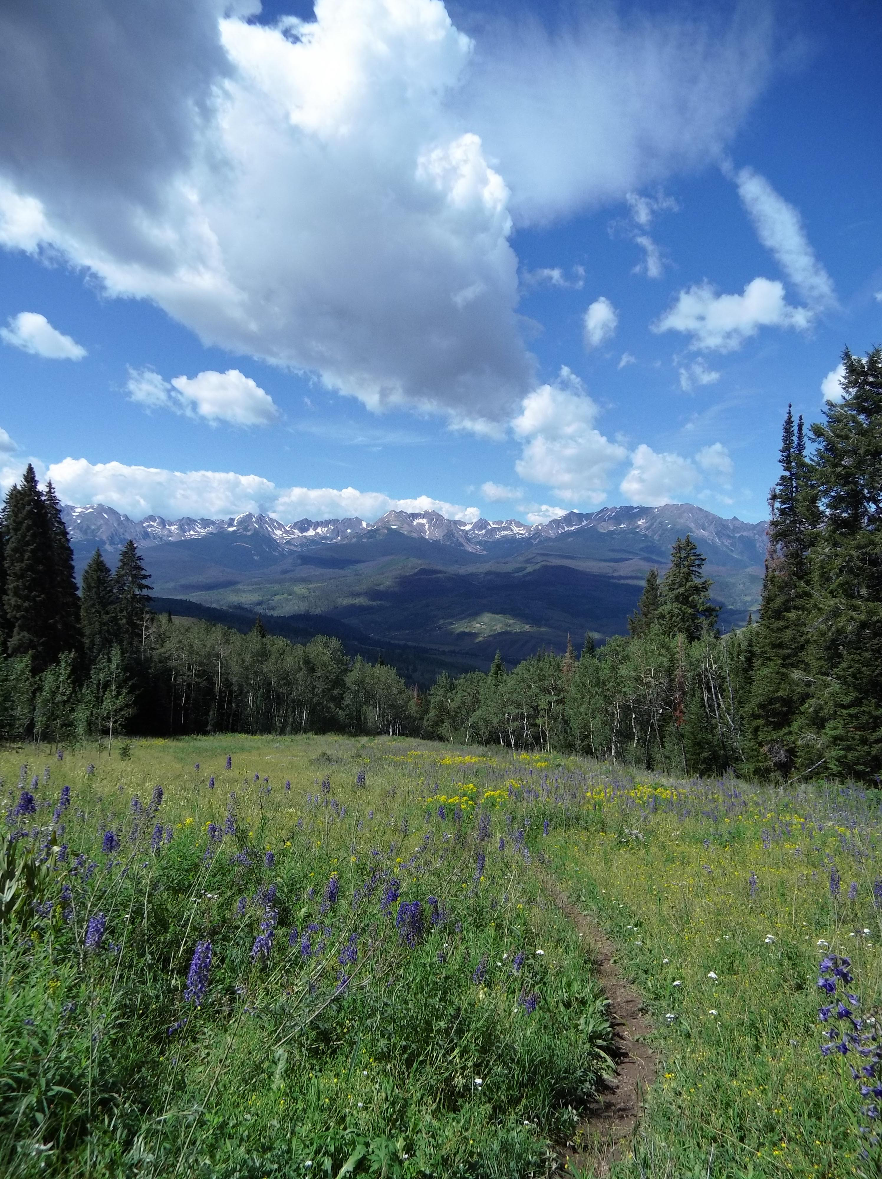 The view walking down from Ptarmigan Peak.