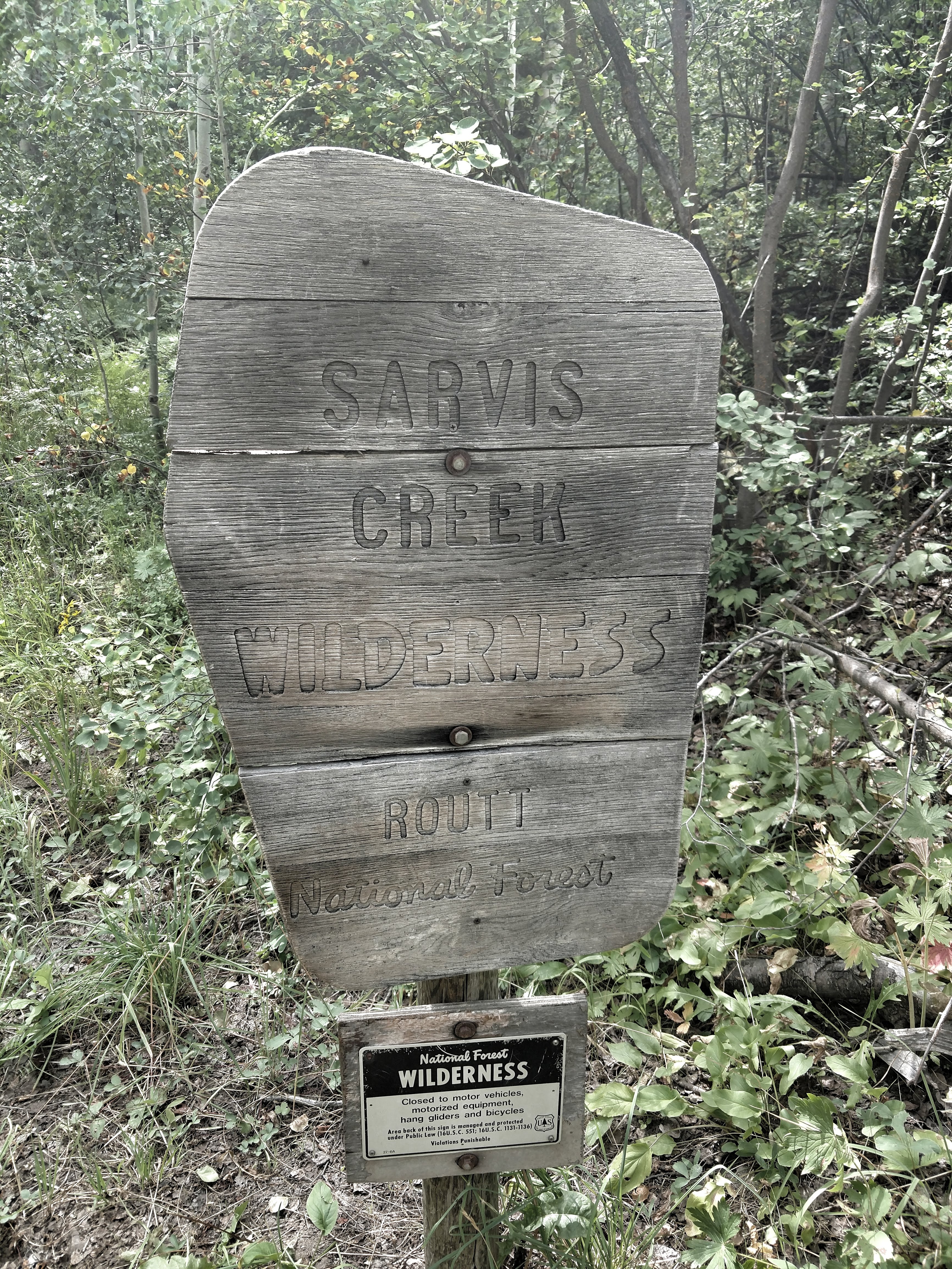 The Sarvis Creek Wilderness, the sign on the way in.