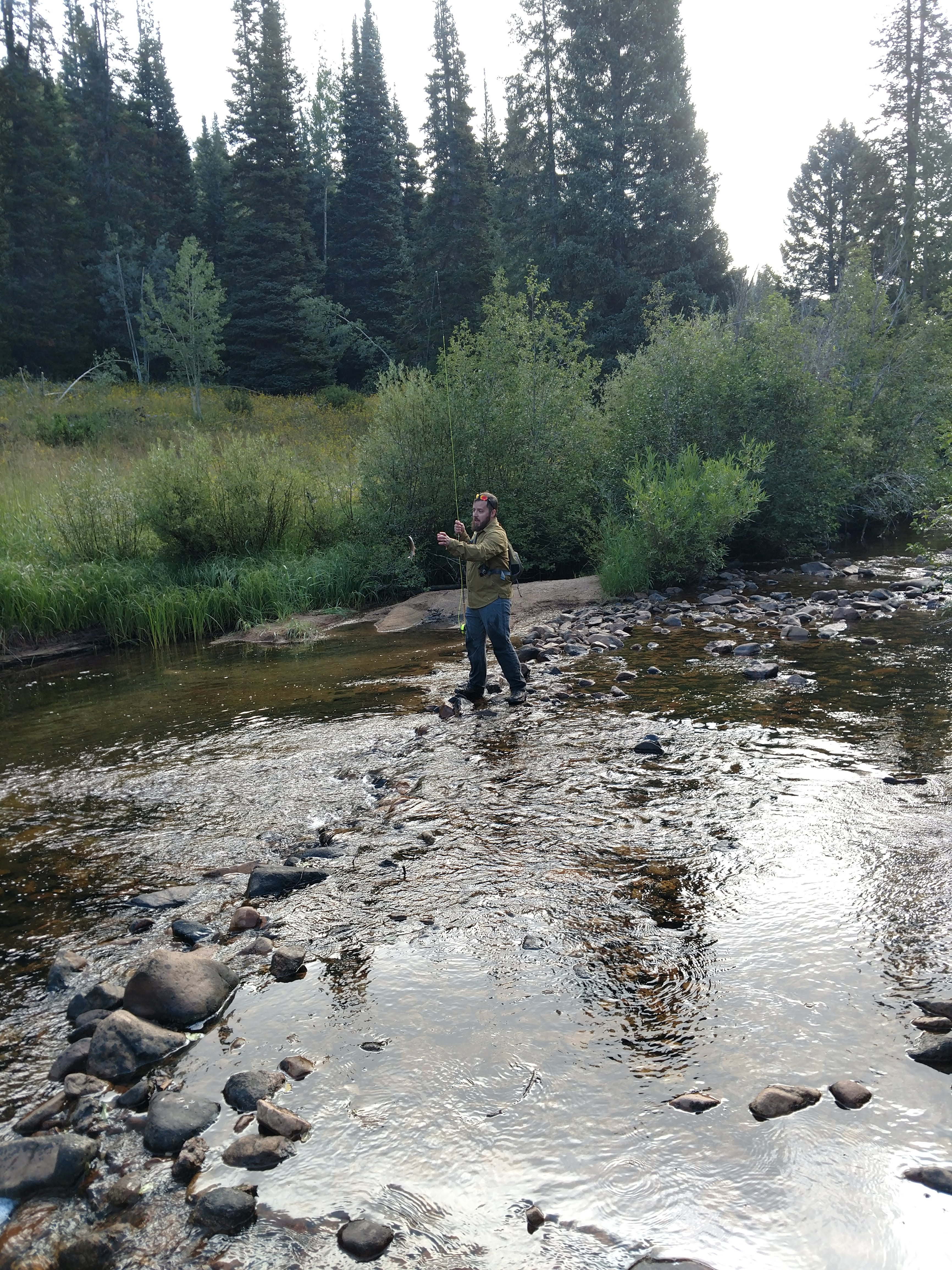 Fishing Sarvis Creek.