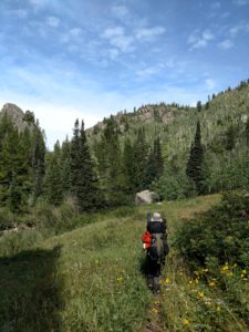 Sarvis Creek Wilderness is set to have an expansion on the Western boundary.