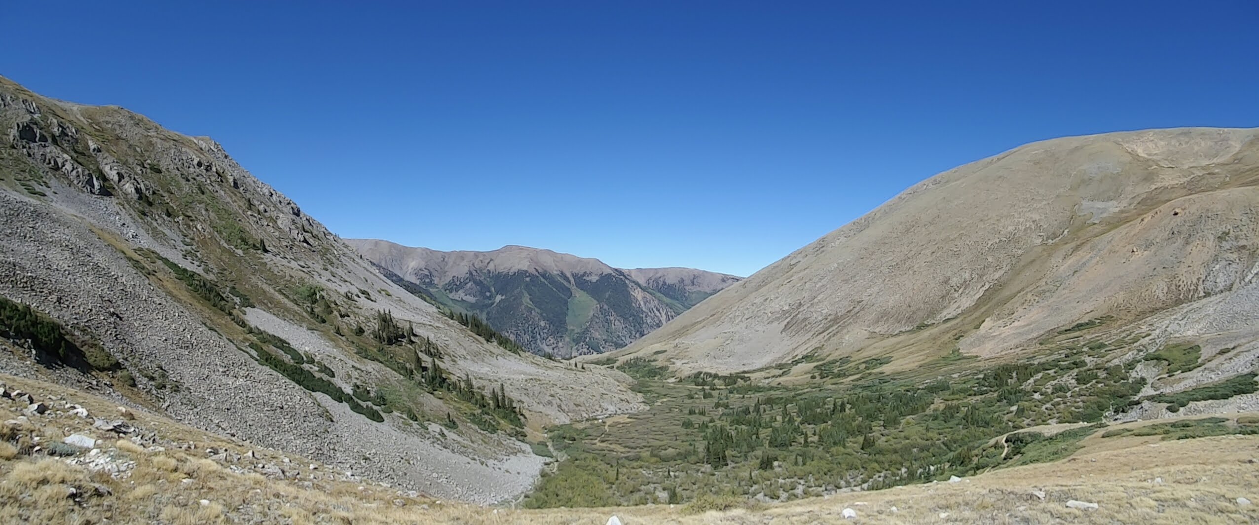 Ptarmigan and Blue grouse in the same gulch, at least in theory.