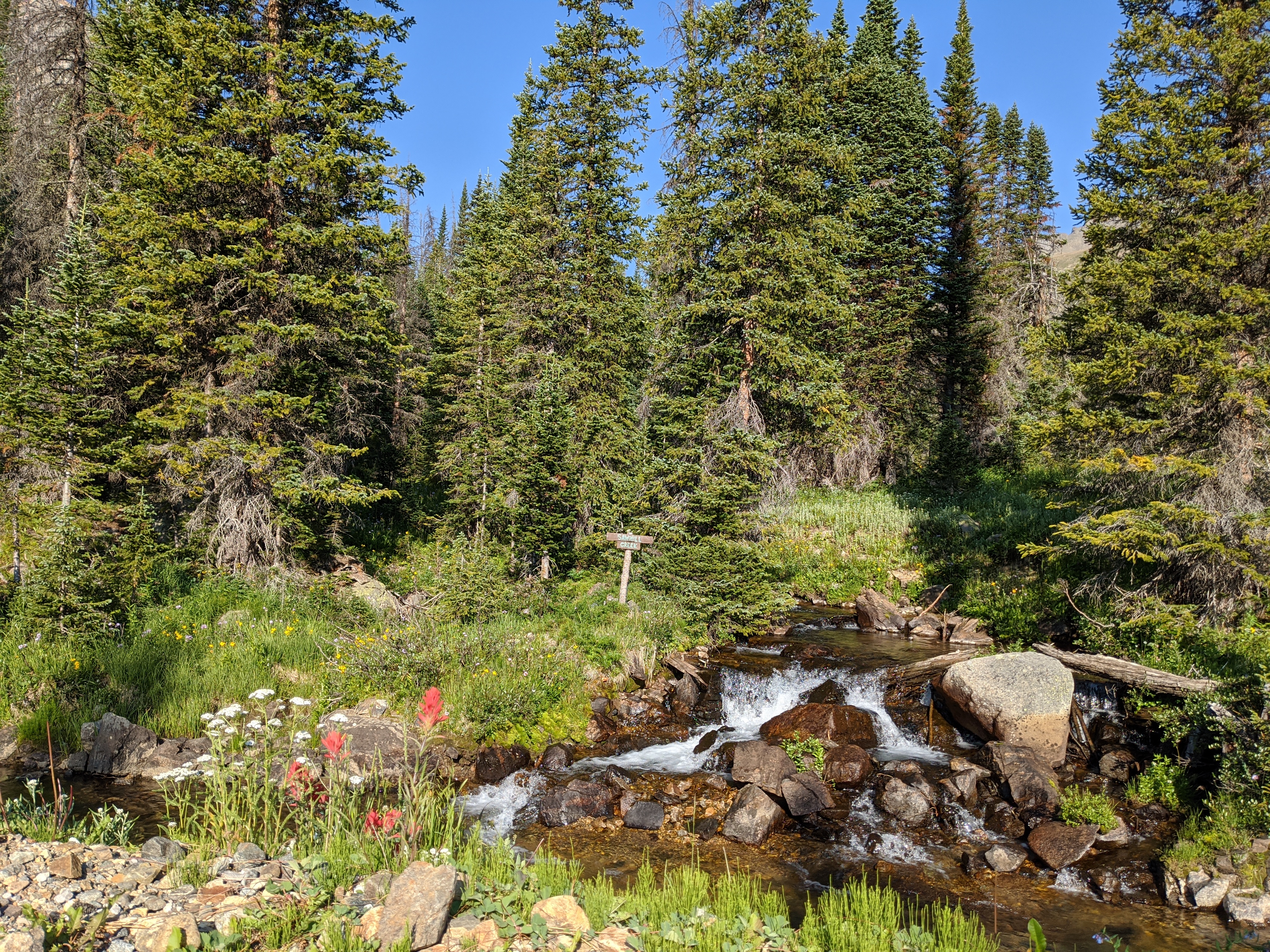 The entrance to Sawmill Creek in the Rocky Mountain National Park Wilderness.