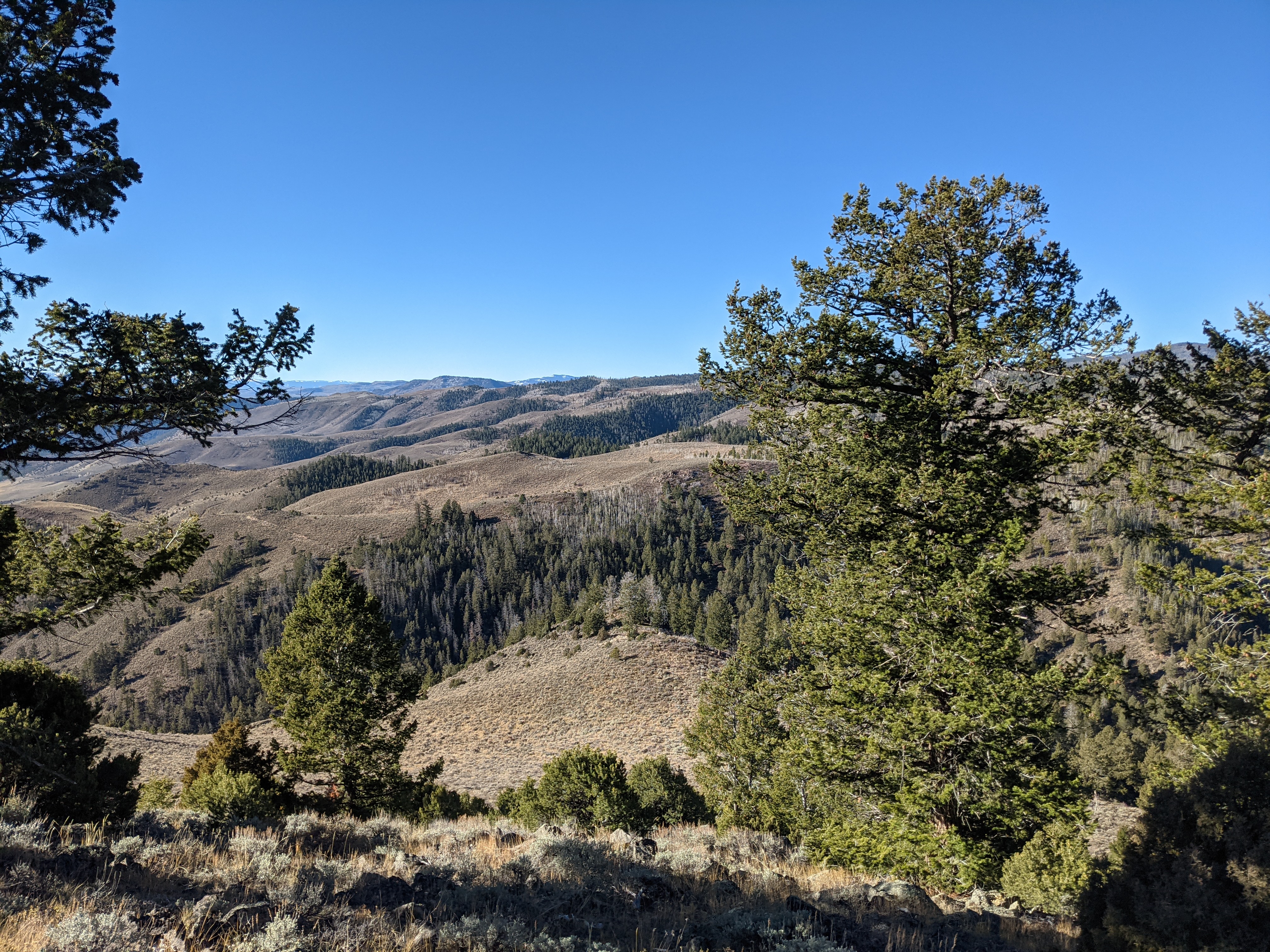 The perch on the side of a high rise for the opener on my Colorado OTC elk hunt.