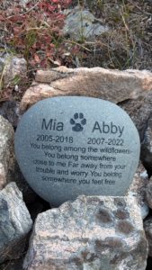 A powerful place on the mountain, and a memorial to dogs gone not long ago.
