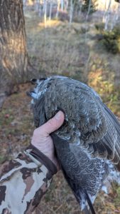 The powerful place brings grouse, game, and memories to table and to mind.