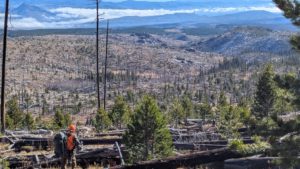Looking down over a sea of downed trees during second rifle OTC elk.