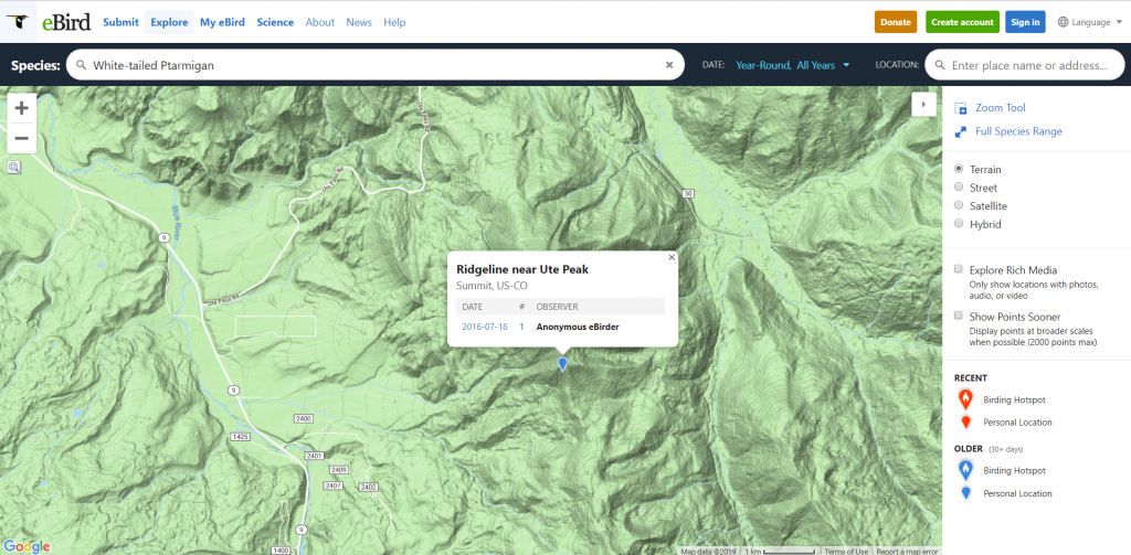 Ute peak, searching for ptarmigan.